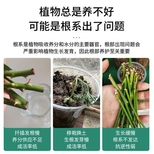 强力生根粉植物通用生根液扦插专用果树木移栽生根剂国光牌多灵菌