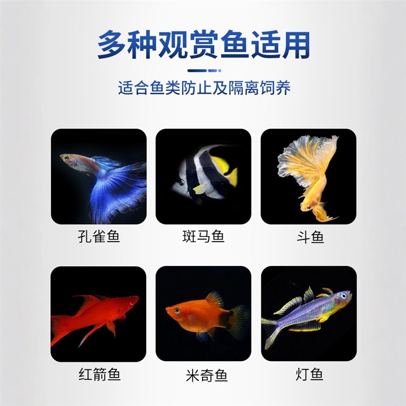 鱼缸隔离盒孔雀鱼小鱼缸内孵化繁殖盒母鱼产房生产鱼卵鱼苗分离器