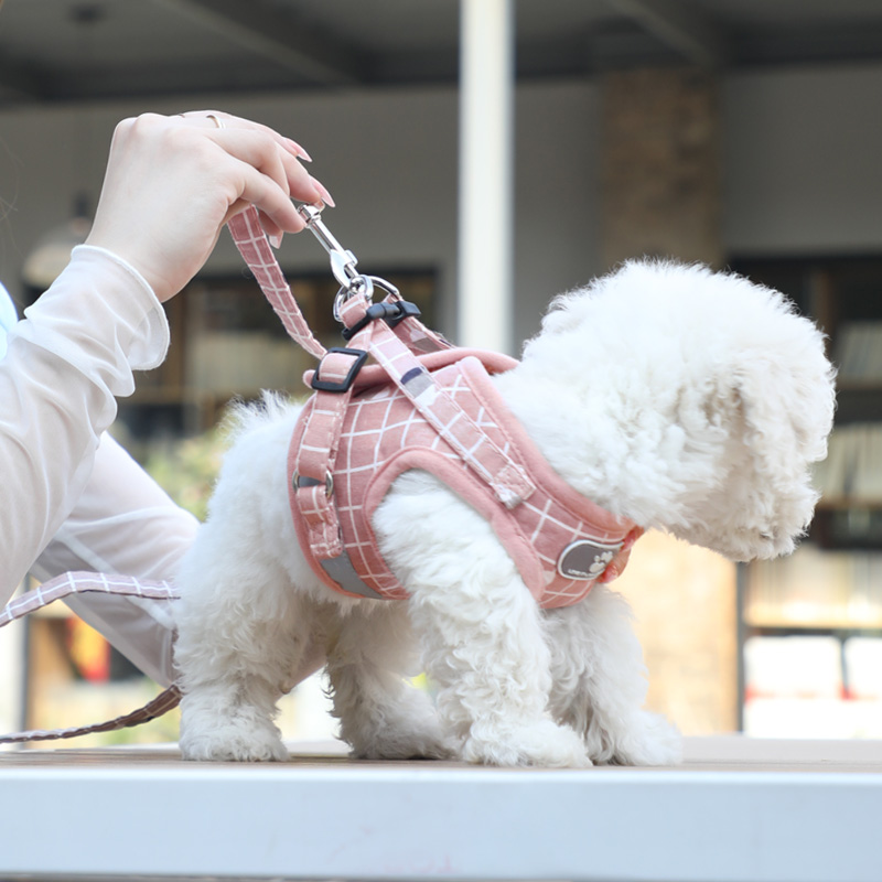 泰迪狗狗牵引绳小型犬比熊博美胸背带小狗幼犬狗链遛狗绳宠物用品