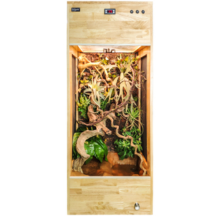 定制爬虫宠饲养高箱高冠变色龙蜥蜴恒温爬箱实木玻璃可排水树栖箱