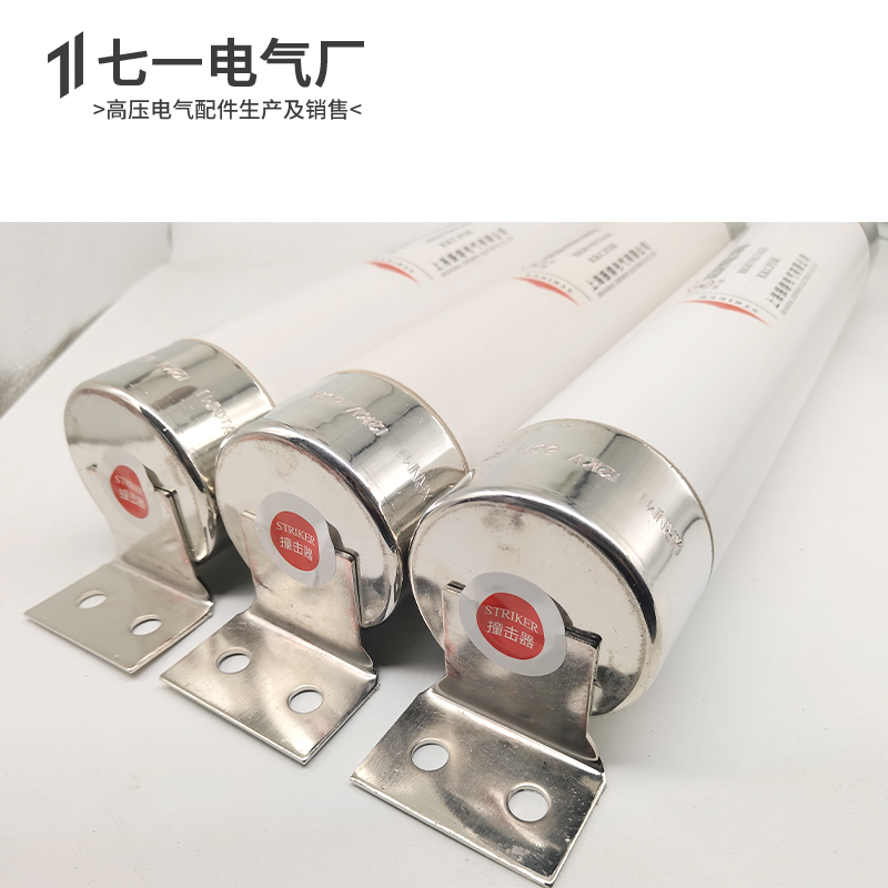 XRNM1-10-12KV/20A50A固定式高压熔断器限流熔断器管80A/63A/100A