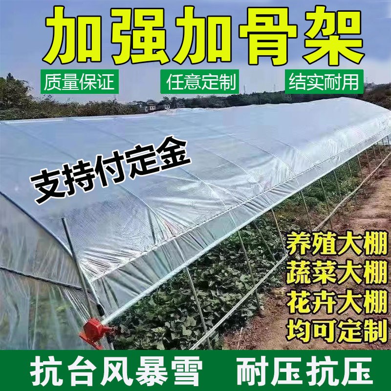 椭圆管温室大棚养殖大棚蔬菜种植简易连栋大棚热镀锌钢管骨架出口