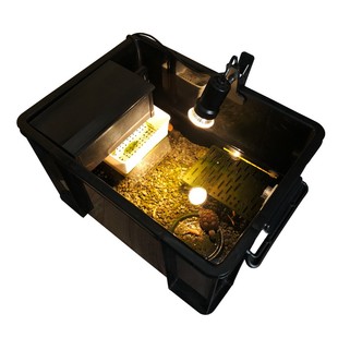 乌龟黑白发色盒佛鳄龟剃刀虎纹青鳉蛋龟专用缸鱼缸过滤龟盆饲养箱