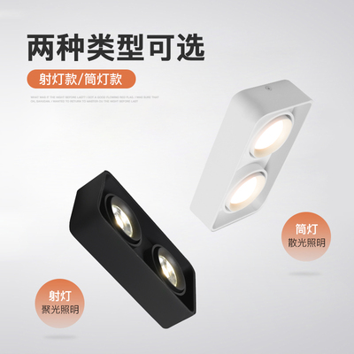 超薄方形明装射灯可调角度无主灯家用客厅双头斗胆灯防炫光吸顶式