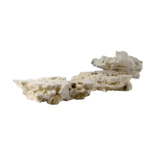 两只小鱼灵感造景石海缸培菌造景石免暴藻STAX自然造景石随意摆放