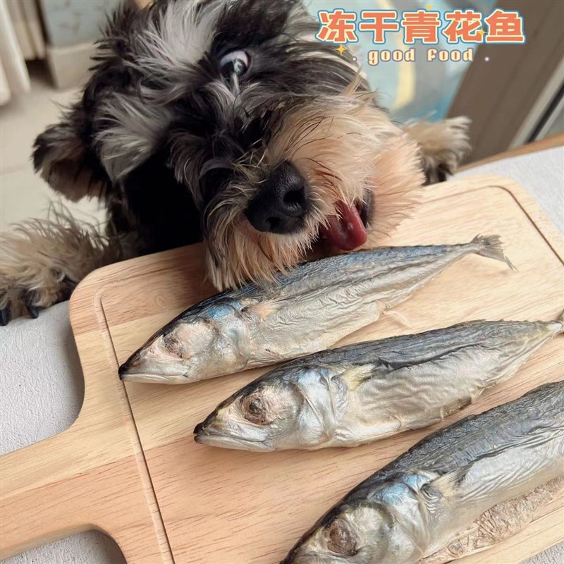 冻干青花鱼狗狗猫咪冻干鱼狗狗冻干零食 青花鱼猫咪鱼干青花鱼狗图片