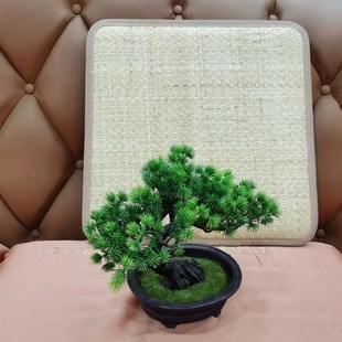 双面坐垫冬夏两用四季通用舒适透气办公室电脑椅垫沙发坐垫凉席