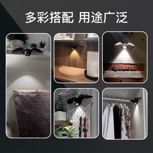 海鸥门牌感应灯入户门壁灯充电人体感应衣柜灯氛围灯免布线射灯