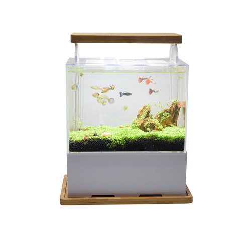 创意桌面迷你底滤鱼缸微缸生态水族箱小型迷你海水缸超白循环鱼缸