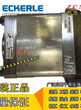 液压油泵890-EI-1250-RS2/FS2-C602 890-EI-0800-RS2-C502-N01079