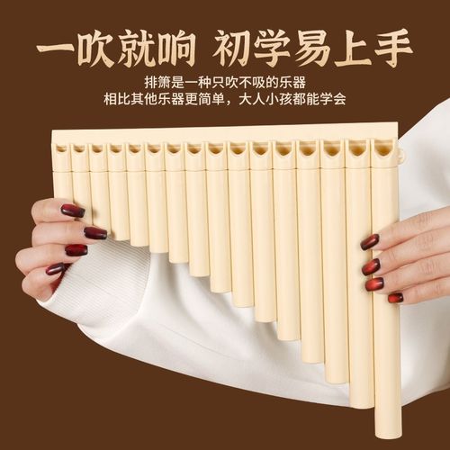 排箫乐器16管18管初学者儿童入门小学生专用专业演奏C调易学排笛