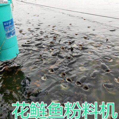 大头投食机鱼饲料鱼塘投饵机自动鱼苗粉料投料机花莲泥鳅黄颡鱼苗