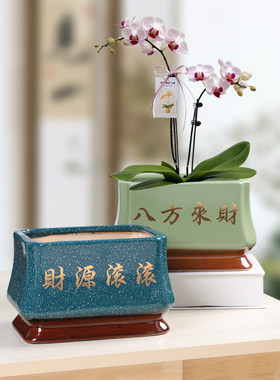 中式长方形盆景陶瓷大号花盆客厅金弹子罗汉松小叶紫檀盆景绿植盆