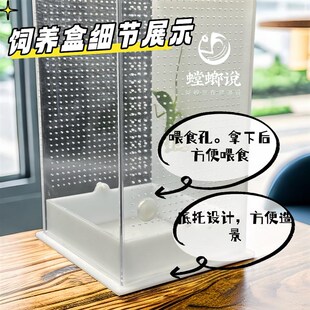 鸣虫生态饲养盒造景别墅鸣虫盒昆虫盒跳蛛蝈蝈螳螂饲养盒螳螂说
