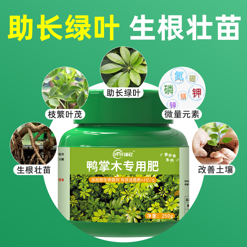 鸭掌木专用肥八方来财营养液有机肥料鹅掌柴复合花肥家用盆栽绿植