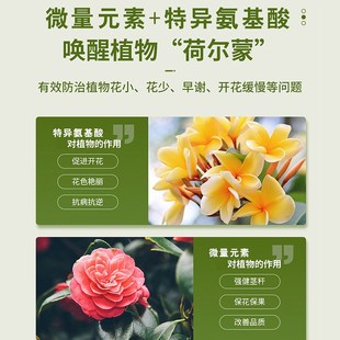 青丛园丁直喷一喷开保花花朵艳丽促进花芽分化延长花期 拍二发四