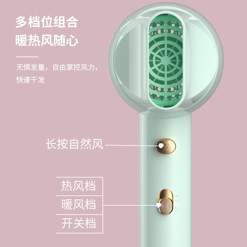 电吹风机家用大小功率宿舍用学生网红吹风筒发廊冷热风女生款800W