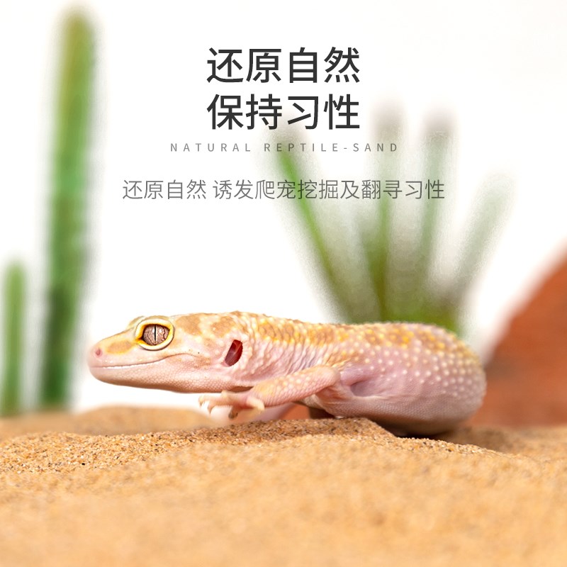 REPTIZOO鬃狮爬虫沙爬宠砂子钙沙蜥蜴守宫饲养缸箱造景蝎子蛇垫材