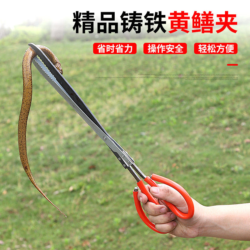 不锈钢黄鳝夹子捕泥鳅鳝鱼钳防滑抓龙虾螃蟹多功能控鱼器赶海神器