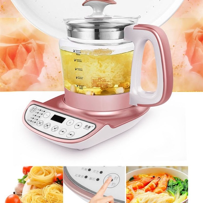 宏惠养生壶家用多功能全自动大容量3升L加厚玻璃煎药壶锅2L煮茶壶