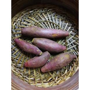 蒸包子松针垫蒸小笼包的草垫子不粘锅圆形手编加密蒸笼垫子草编的