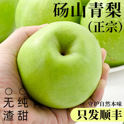 「砀山青梨」鲜甜多汁现货速发