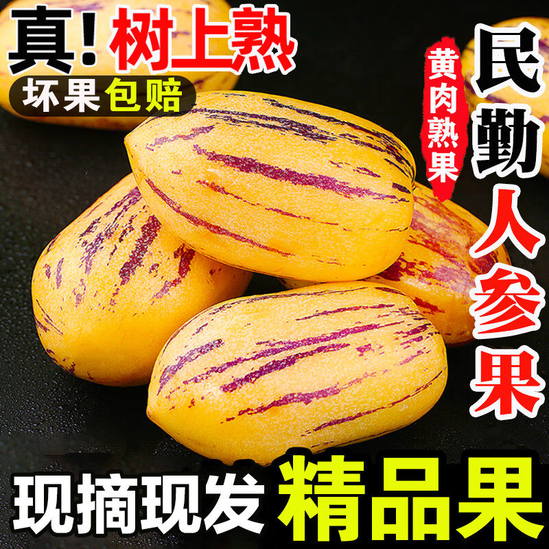 民勤人参果10斤水果新鲜当季整箱人生果甘肃沙漠黄肉长特大果5,水产肉类/新鲜蔬果/熟食,人参果,淘宝优惠券,粉丝福利购,淘宝优惠卷