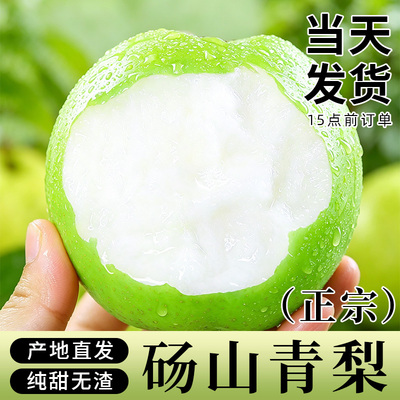 砀山梨顺丰可选现货速发