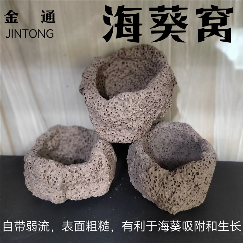 海葵窝 海葵屋 葵巢奶嘴地毯 固定防跑屋 蜂窝透水手工造景培菌石图片