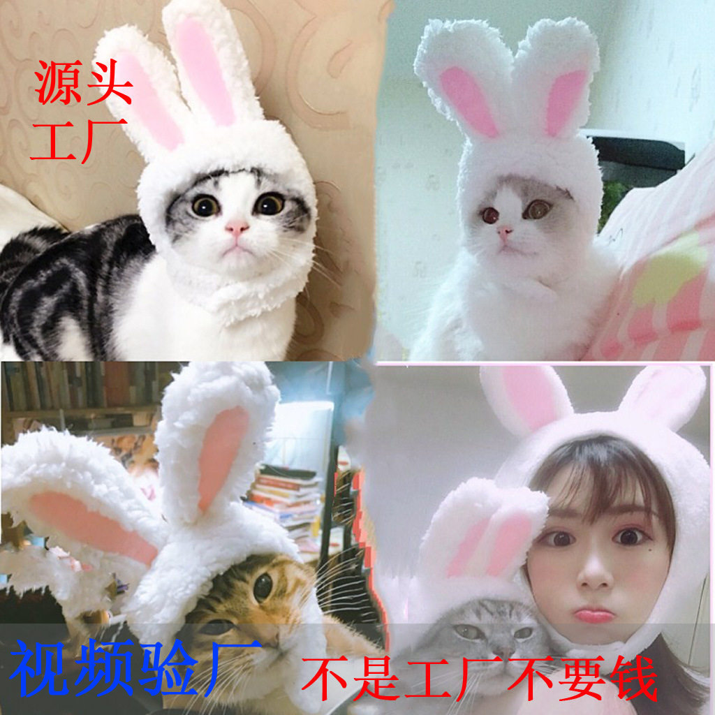 跨境耳朵可立猫咪头套可爱兔子变装帽猫头饰表演道具搞笑宠物帽子