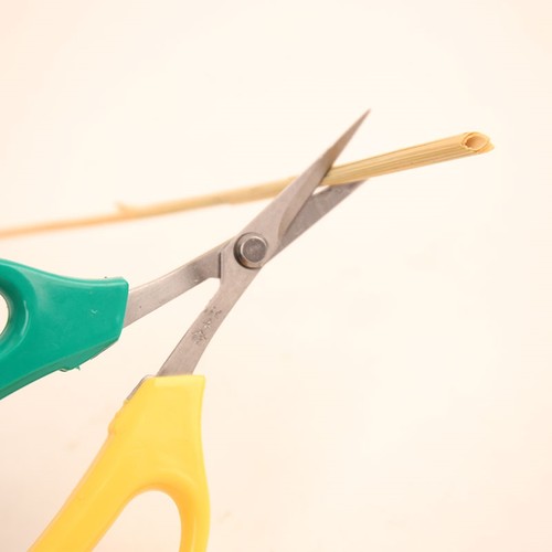 剪刀修枝剪叶园艺剪刀修果树草粗枝细叶多功能家用果树盆景