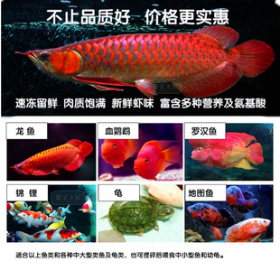 南极鳞虾龙鱼血鹦鹉地图花罗汉鱼食干虾饲料营养增色脱壳去皮虾干