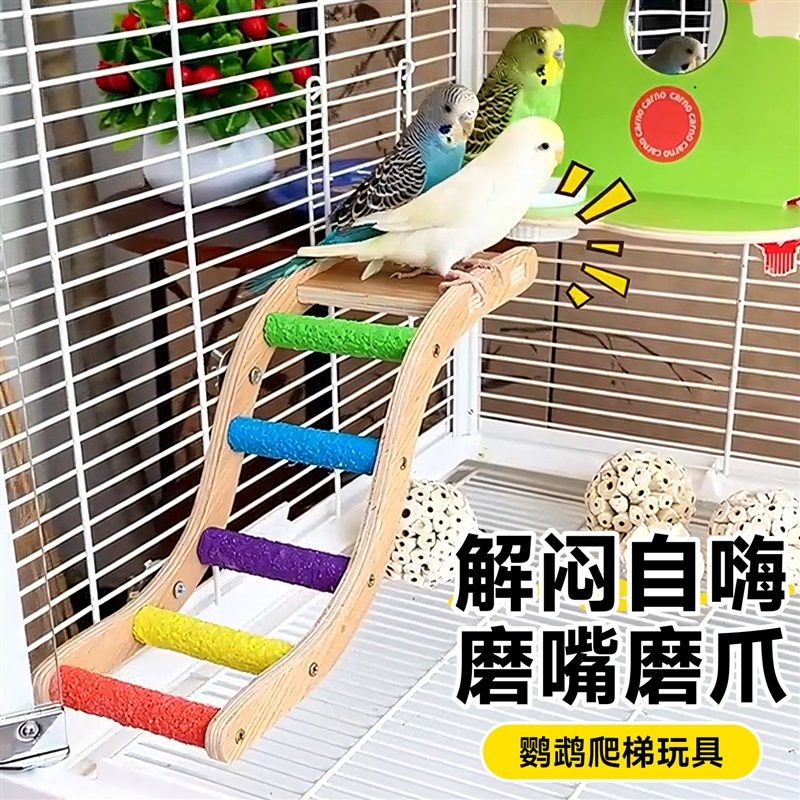 鹦鹉云梯鸟笼攀爬玩具小鸟虎皮磨爪棒爬架玄凤逗鸟笼配件专用楼梯,宠物/宠物食品及用品,鸟玩具,淘宝优惠券,粉丝福利购,淘宝优惠卷