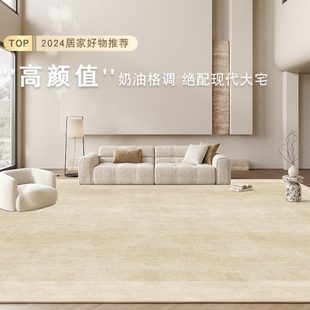 轻奢高级感现代简约耐脏家用沙发茶几卧室垫 客厅地毯免洗可擦意式