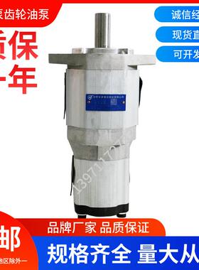 合肥长源液压双联齿轮油泵CBQT-F550/F416-AFP/L液压泵高压动力泵