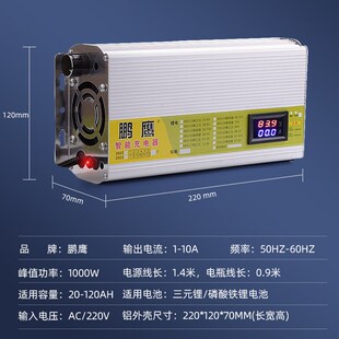 12V24V伏磷酸铁锂电池充电器12.6V14.6V29.2V10A15A18a户外电源用