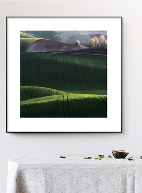 大地肌肤 简约艺术摄影风景清新绿植治愈系 客厅卧室床头装饰挂画