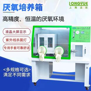 YQX-IIYQX-T厌氧培养箱