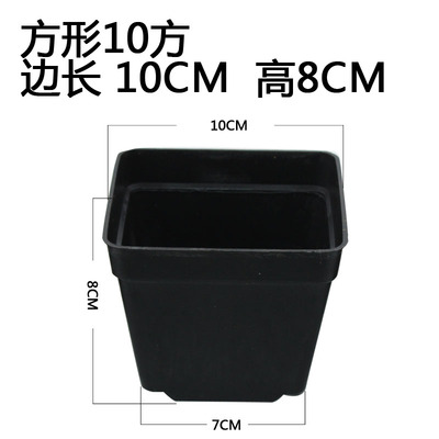 园艺花卉简约塑料育苗小黑方多肉地面播种圆口方口花盆绿植种植盆