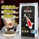 统一锦鲤鱼饲料20斤上浮鱼食不浑水通用型大颗粒增肥增色专用鱼粮