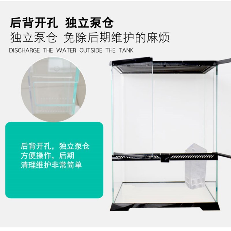 雨林缸雨淋缸生态造景缸热带雨林植物蜥蜴爬宠爬虫守宫饲养箱