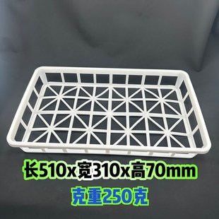 供应育苗筐特大组培盘塑料组培筐白色耐高温组培室专用筐土豆框