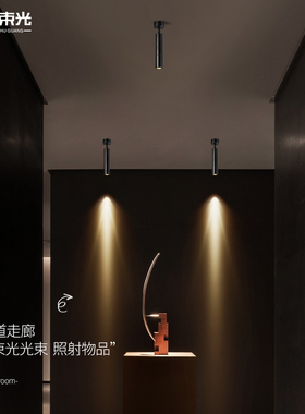 一束光聚光射灯3度光束角明装酒吧清吧餐厅餐桌氛围商铺吸顶轨道