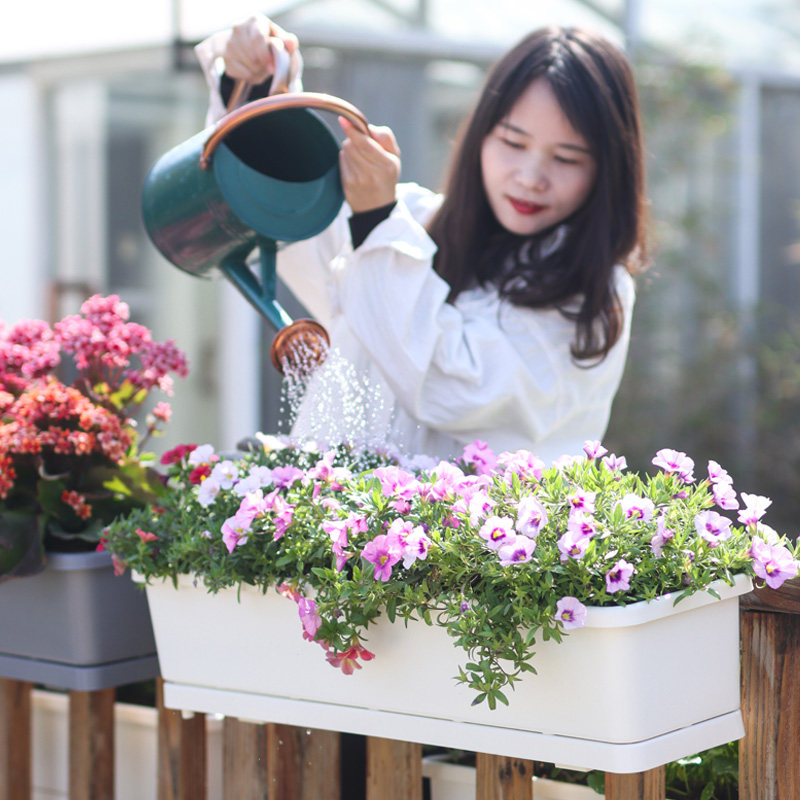 阳台花盆壁挂花箱长条多层种菜盆塑料种植箱栏杆挂式蔬菜种植盆