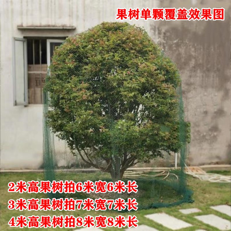 防鸟网罩樱桃网果树防鸟网果园尼龙网防护罩防雹网葡萄蔬菜家用网