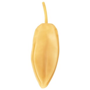 闽玻 乳胶球胆采气袋实验室氮气矿井气体采样球胆取样吸球采样袋