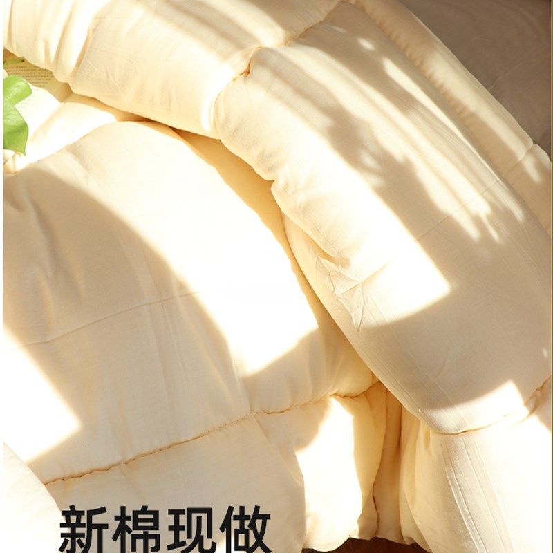 纯天然棉花被一级棉花被儿童特级棉絮春秋冬被纯棉花全棉纱布被芯,床上用品,棉花被,淘宝优惠券,粉丝福利购,淘宝优惠卷