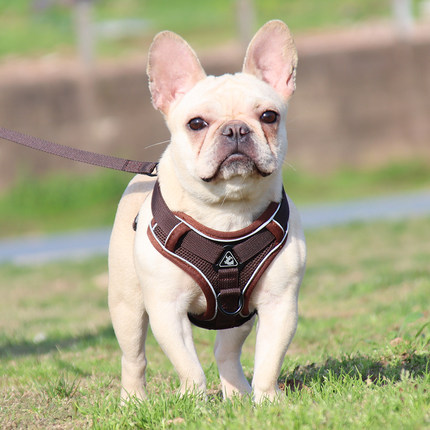 背心式狗狗牵引绳中小型犬巴哥法斗胸背带可调节狗链子宠物遛狗绳