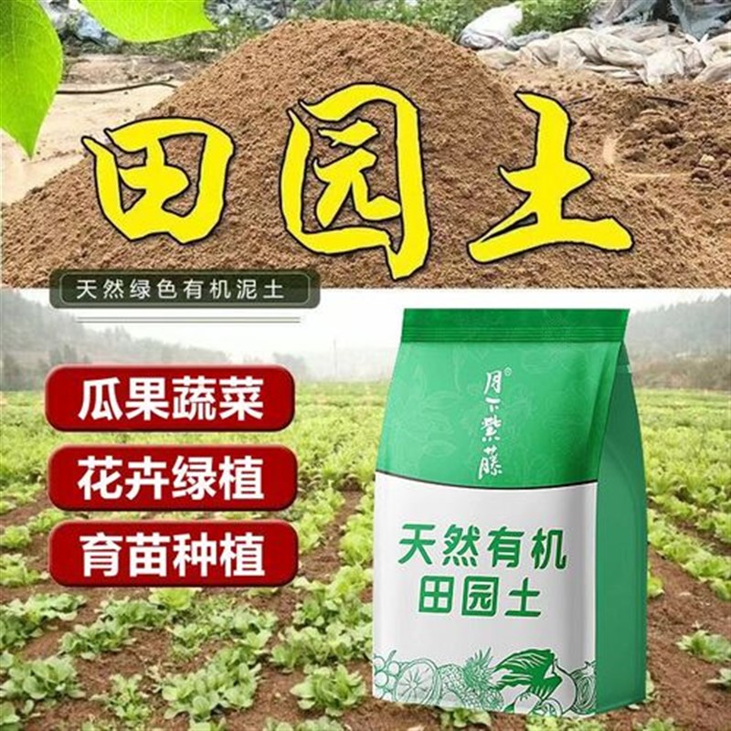 海棠花梅花木本植物田园土无污染不结板绿植花卉苗木种菜种花包邮