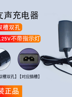 上海友声电子秤原装充电器双槽单槽双孔XK3100-B2+台秤桌秤电源线